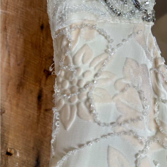 Badgley Mischka Cream Velvet/Silk Gown - Size 8 - Picture 10 of 16